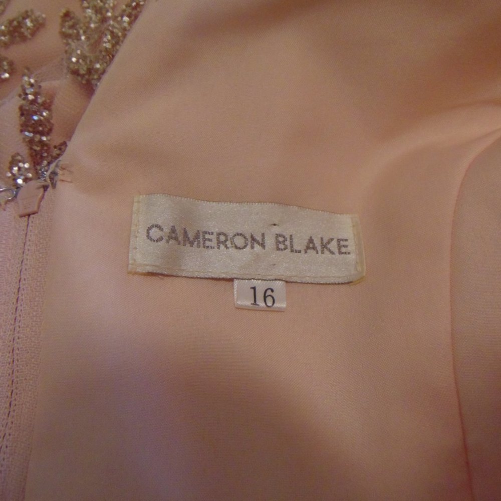 Mother of the Bride peach Chiffon gown by Cameron Blake - Picture 7 of 16